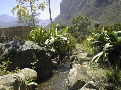 Fotografia de Julius - Galeria Fotografica: Paisajes - Foto: Arroyo