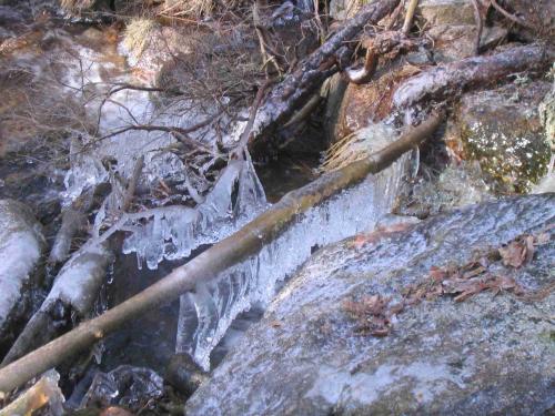 Fotografia de Javier - Galeria Fotografica: Sobre la tierra - Foto: 