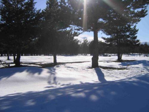 Fotografia de Javier - Galeria Fotografica: Sobre la tierra - Foto: 