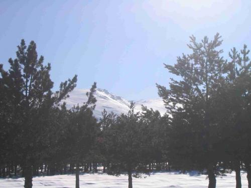 Fotografia de Javier - Galeria Fotografica: Sobre la tierra - Foto: 