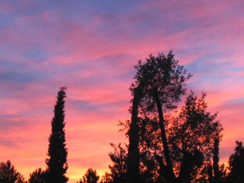 Fotografia de Javier - Galeria Fotografica: Sobre la tierra - Foto: 