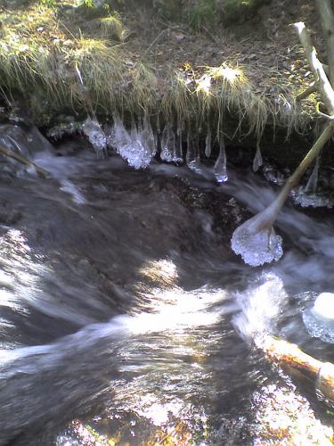 Fotografia de Javier - Galeria Fotografica: Sobre la tierra - Foto: 