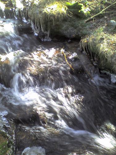 Fotografia de Javier - Galeria Fotografica: Sobre la tierra - Foto: 