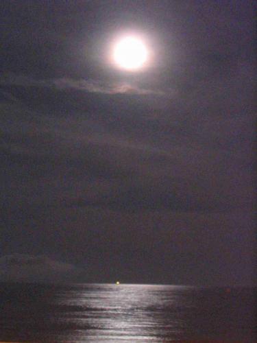 Fotografia de Javier - Galeria Fotografica: Sobre la tierra - Foto: 