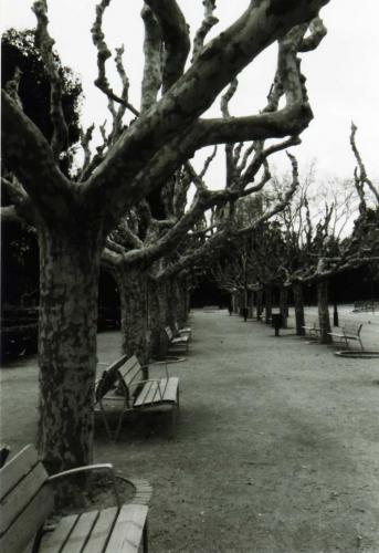 Fotografia de TukA - Galeria Fotografica: Momentos varios - Foto: La Ciutadella, Barcelona