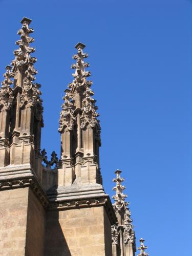 Fotografia de Almendras Amargas - Galeria Fotografica: Granada - Foto: 