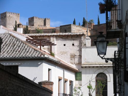 Fotografia de Almendras Amargas - Galeria Fotografica: Granada - Foto: 