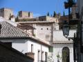Fotos de Almendras Amargas -  Foto: Granada - 