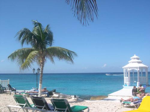 Fotografia de Tania - Galeria Fotografica: Cozumel - Foto: Cozumel