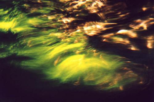 Fotografia de Maria Cecilia Camozzi - Galeria Fotografica: Sinestesia del Flamenco - Foto: Sinestesia del Flamenco #79