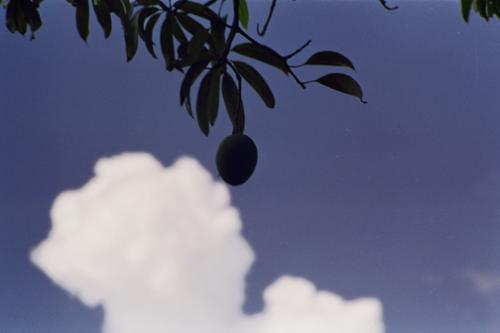 Fotografia de levi - Galeria Fotografica: fotos varias - Foto: 