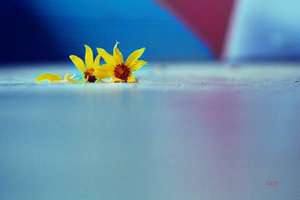 Fotografia de levi - Galeria Fotografica: fotos varias - Foto: 