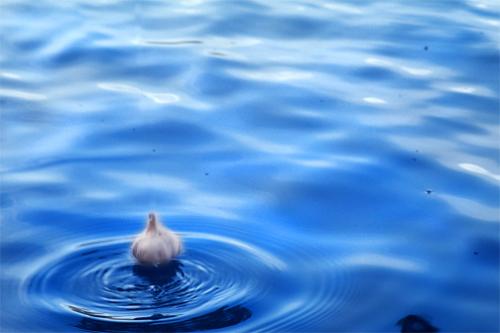 Fotografia de levi - Galeria Fotografica: fotos varias - Foto: 