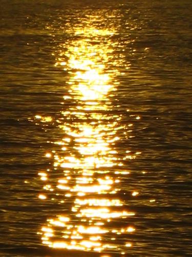 Fotografia de Diego Lamas - Galeria Fotografica: Miradas - Foto: 