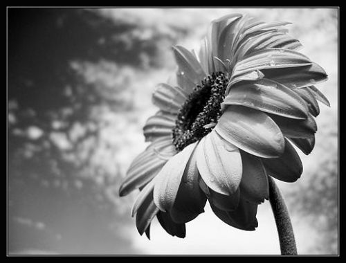 Fotografia de Ivn - Galeria Fotografica: Fotos Varias - Foto: 