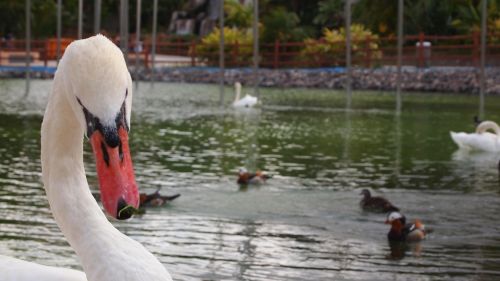 Fotografia de junior - Galeria Fotografica: mis primeras fotos - Foto: 