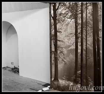 Fotografia de Hugovl - Galeria Fotografica: Variedad de variedades - Foto: Divisin