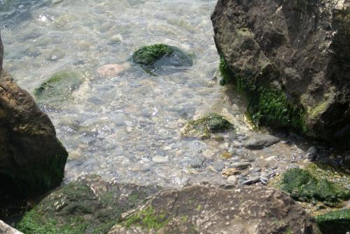 Fotografia de fotojf - Galeria Fotografica: paseando en el parque - Foto: orilla