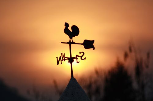 Fotografia de MacFilms - Galeria Fotografica: Book para la WEB - Foto: Tlayacapa