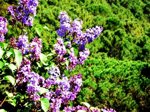 Fotografia de core - Galeria Fotografica: Mias Sueltas - Foto: 