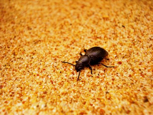 Fotografia de core - Galeria Fotografica: Mias Sueltas - Foto: 