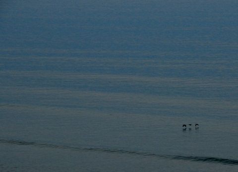 Fotografia de Marcelo - Galeria Fotografica: Varias - Foto: 