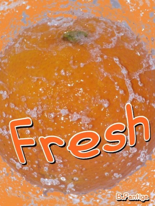 Fotografia de BEA PANTIGA - Galeria Fotografica: FRUTA FRESCA - Foto: 