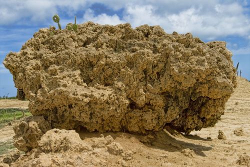 Fotografia de jesus - Galeria Fotografica: Naturaleza - Foto: 