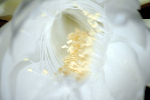 Fotografia de jesus - Galeria Fotografica: Naturaleza - Foto: 