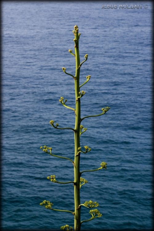 Fotografia de jesus - Galeria Fotografica: Naturaleza - Foto: 