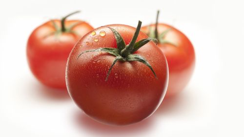 Fotografia de Carlos - Galeria Fotografica: Productos - Foto: 