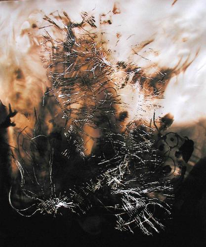 Fotografia de Francisco Stecher - Galeria Fotografica: Neuronas, Redes neuronales, Carreteras cerebrales - Foto: Pensamientos abstractos I