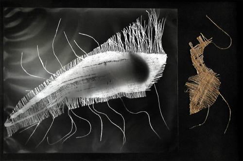 Fotografia de Francisco Stecher - Galeria Fotografica: Neuronas, Redes neuronales, Carreteras cerebrales - Foto: Pensamiento alterado