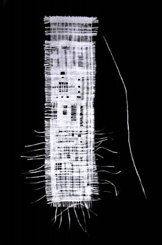 Fotografia de Francisco Stecher - Galeria Fotografica: Neuronas, Redes neuronales, Carreteras cerebrales - Foto: Pensamiento Vertical