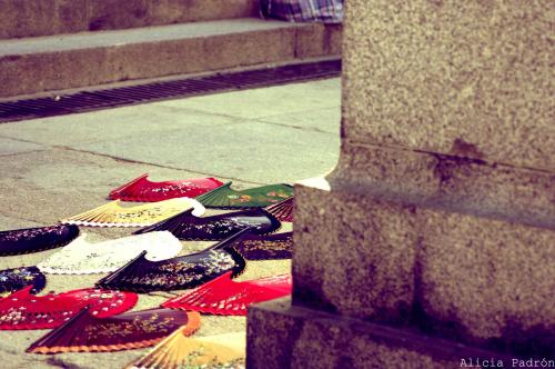 Fotografia de Alicia Padrn - Galeria Fotografica: DIVERSIDADES - Foto: Pasiones