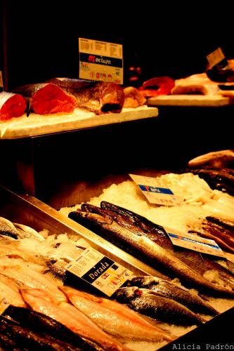 Fotografia de Alicia Padr�n - Galeria Fotografica: DIVERSIDADES - Foto: Mercado