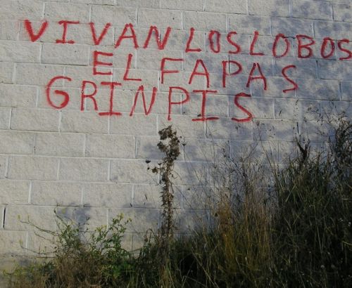 Fotografia de BEA PANTIGA - Galeria Fotografica: CURIOSA PROTESTA - Foto: 