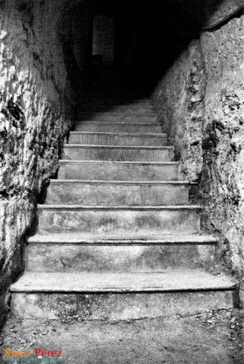 Fotografia de Ximo - Galeria Fotografica: Aficin - Foto: 