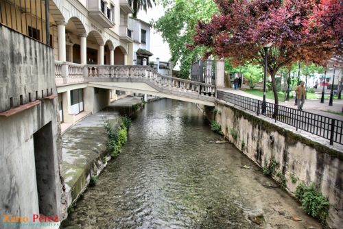 Fotografia de Ximo - Galeria Fotografica: Afici�n - Foto: 