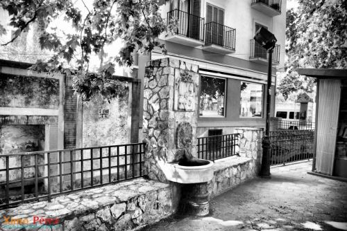 Fotografia de Ximo - Galeria Fotografica: Afici�n - Foto: 