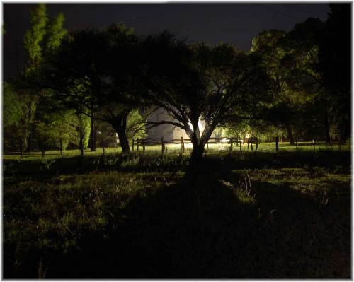 Fotografia de Leandro - Galeria Fotografica: Bellas fotografias - Foto: 