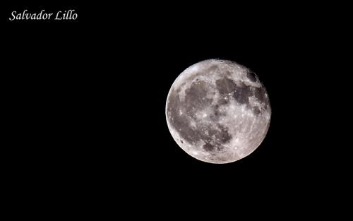 Fotografia de fotosalva - Galeria Fotografica: luna llena - Foto: luna llena
