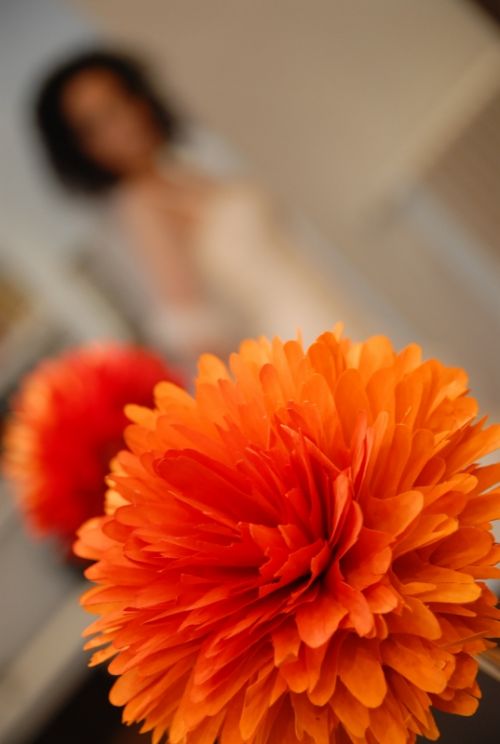 Fotografia de Biljana Stanivuk - Galeria Fotografica: Boda - Foto: 