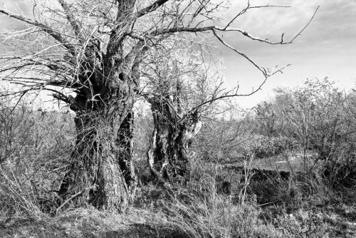 Fotografia de Biljana Stanivuk - Galeria Fotografica: Viajes - Foto: 