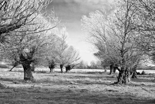 Fotografia de Biljana Stanivuk - Galeria Fotografica: Viajes - Foto: 