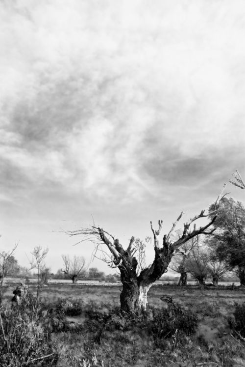 Fotografia de Biljana Stanivuk - Galeria Fotografica: Viajes - Foto: 