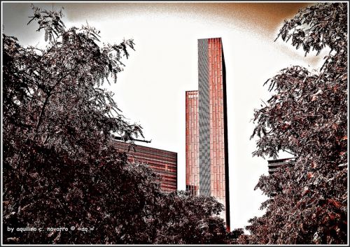 Fotografia de a - Galeria Fotografica: caja de luz - Foto: 