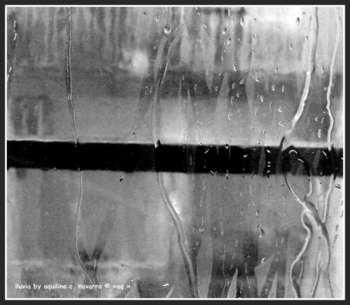 Fotografia de a - Galeria Fotografica: caja de luz - Foto: 