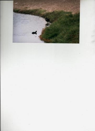 Fotografia de Atilio - Galeria Fotografica: Varios - Foto: 