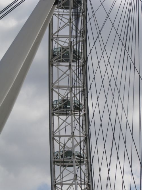 Fotografia de CECILIA - Galeria Fotografica: ESS�NCIA - Foto: 